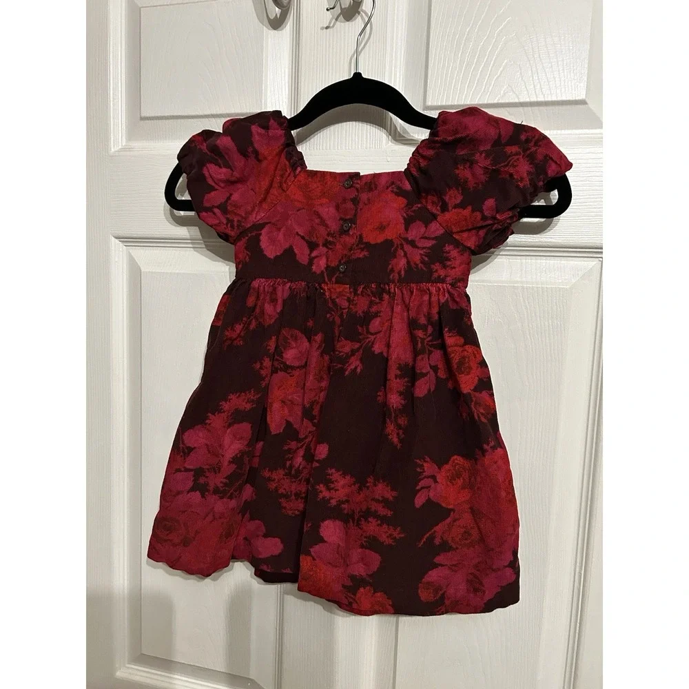Baby Gap 4‎ Corduroy dress puff sleeve floral Print red delicious Pink